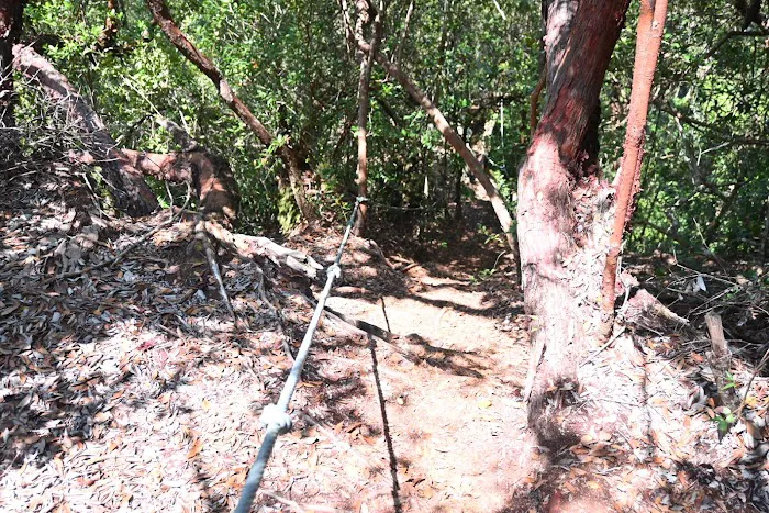Bukit Indah Picture 7