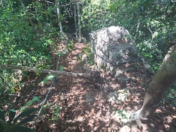 Bukit Indah Picture 8