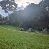 camp site ico