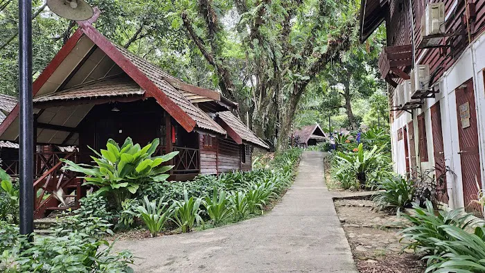 Taman Negara National Park Picture 4
