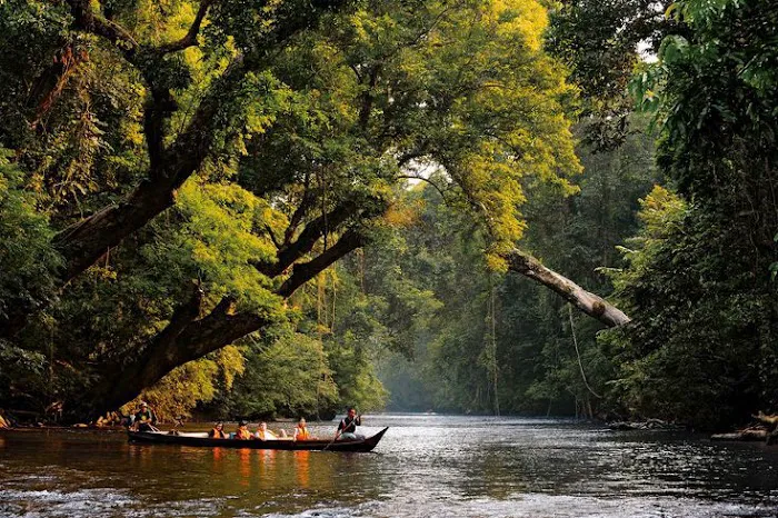 Taman Negara National Park Picture 1