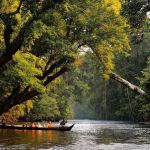 Taman Negara National Park