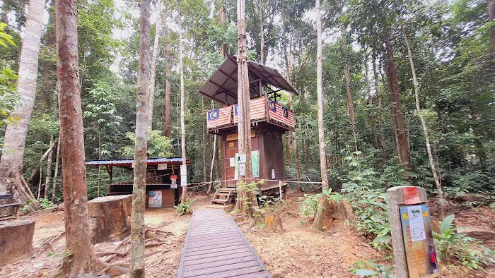 Taman Negara National Park Picture 8