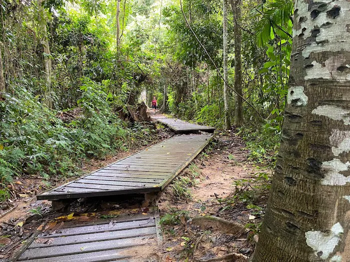 Taman Negara National Park Picture 7