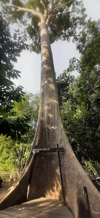 Medan Kereta Kuala Tahan Picture 2