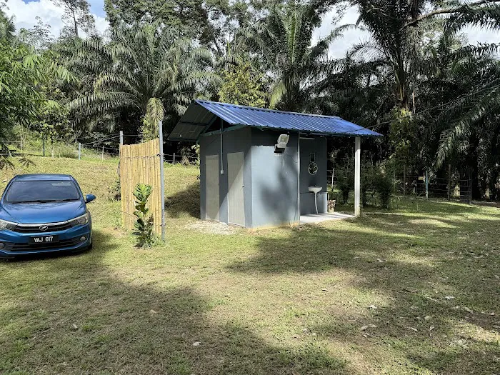 Dinopium Hill Campground Picture 8