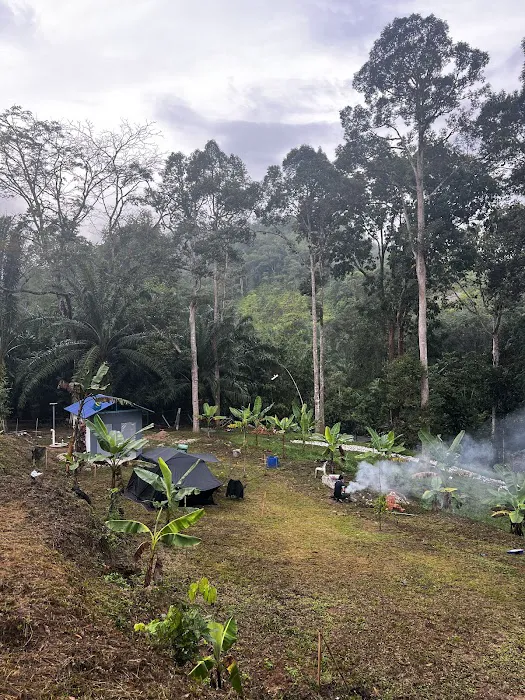 Dinopium Hill Campground Picture 4