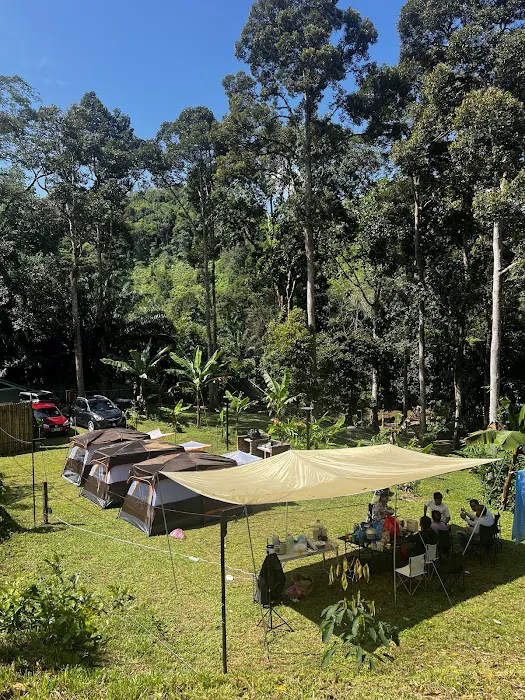 Dinopium Hill Campground Picture 6