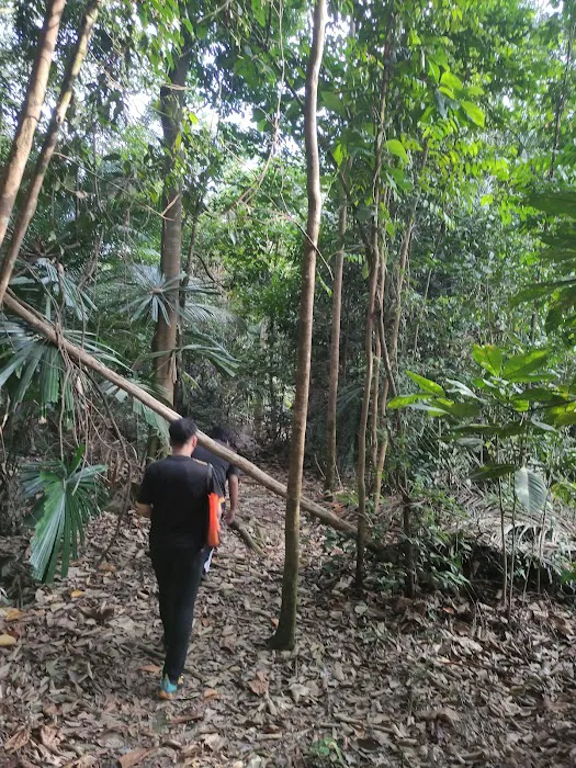 Bukit Rupa Summit Picture 5
