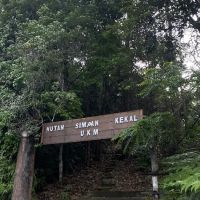 Bukit Rupa Summit ico