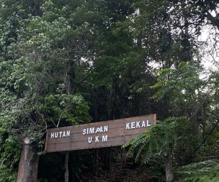 Bukit Rupa Summit