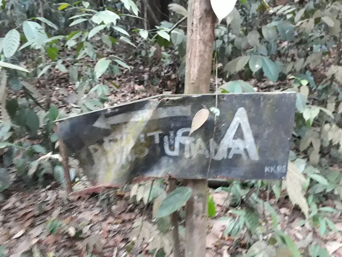 Bukit Rupa Summit Picture 9