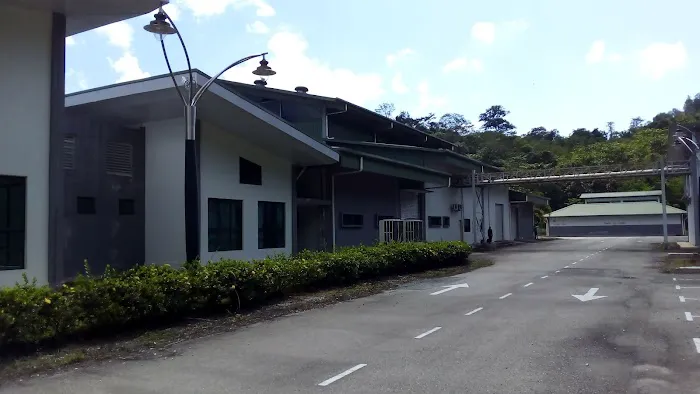 Zaha - raub pahang Picture 2