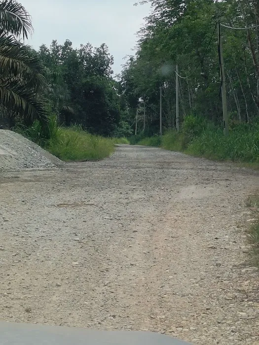 Ch'ng's Farm Picture 5