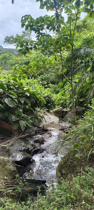 Sg semei Picture 1