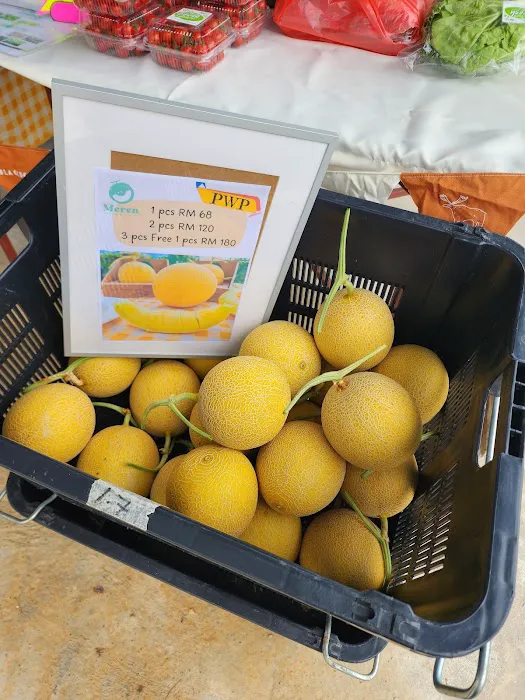 Meren Farm Japanese Musk Melon Picture 7