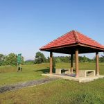 Landfill Park Trail Peak