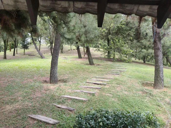 Relax stop Picture 5