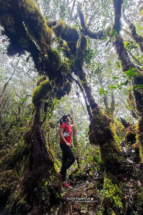 Gunung Chamah Picture 1