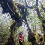 Gunung Chamah
