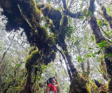 Gunung Chamah