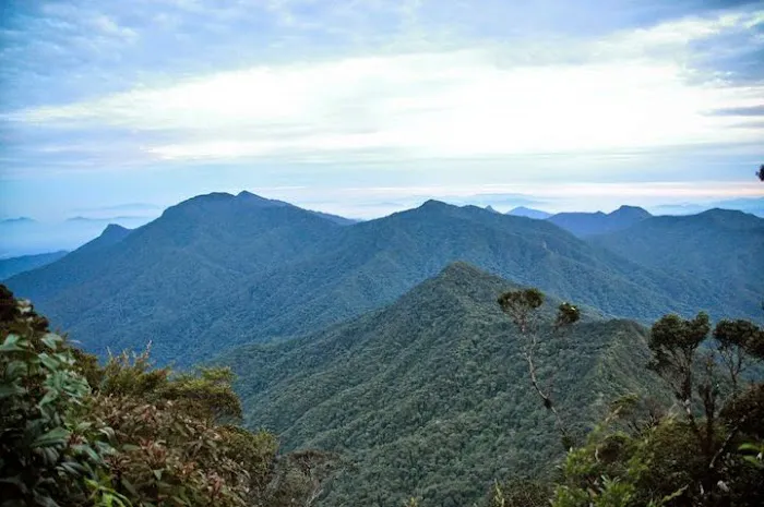 Gunung Chamah Picture 8