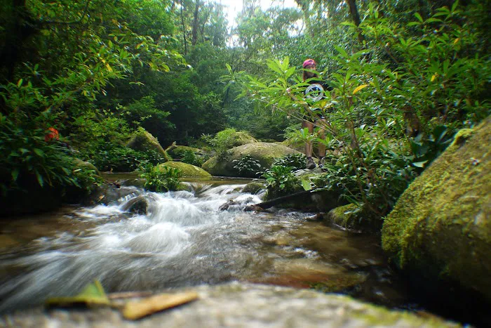 Gunung Chamah Picture 10