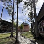 Rimba TARUMT