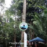 Bukit Saga Hilltop