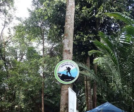 Bukit Saga Hilltop