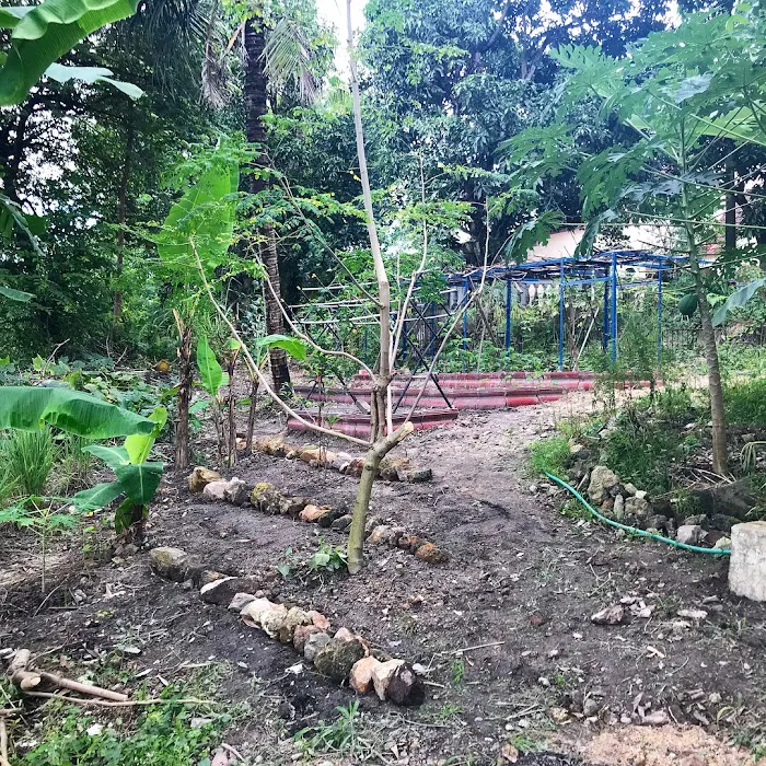 Kebun Ibu Picture 8