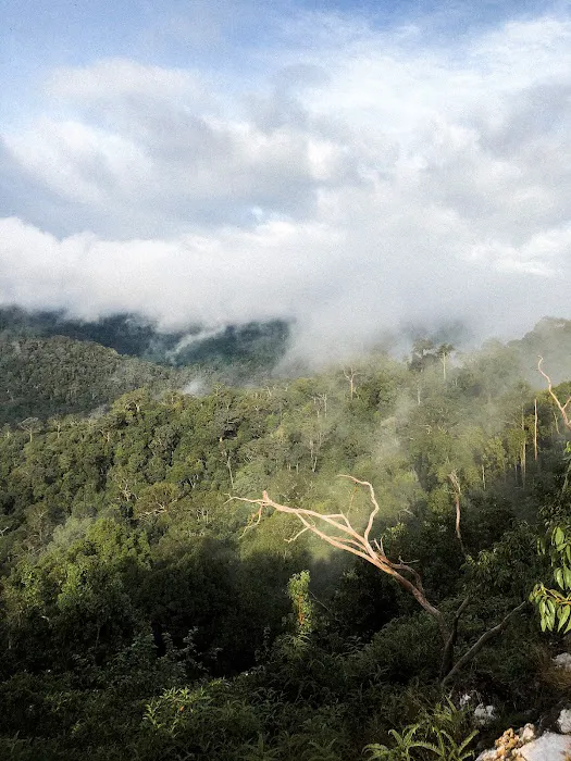 Bukit Dedari Picture 10
