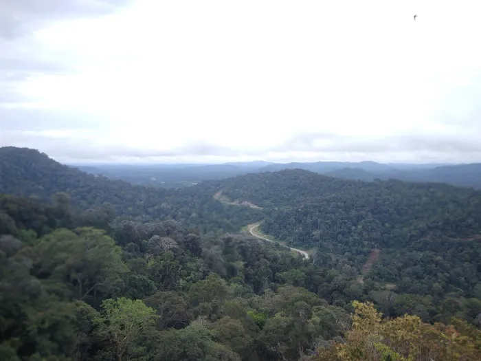 Bukit warisan (bukit botak) Picture 2