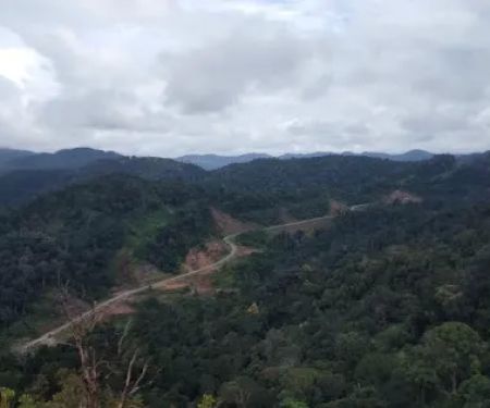 Bukit warisan (bukit botak)