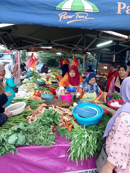 KEBUN KOMUNITI PEGAGA Picture 4