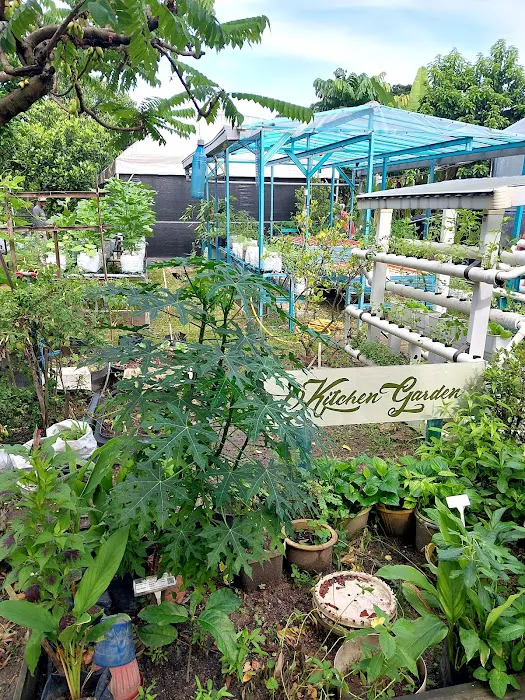 KEBUN KOMUNITI PEGAGA Picture 9