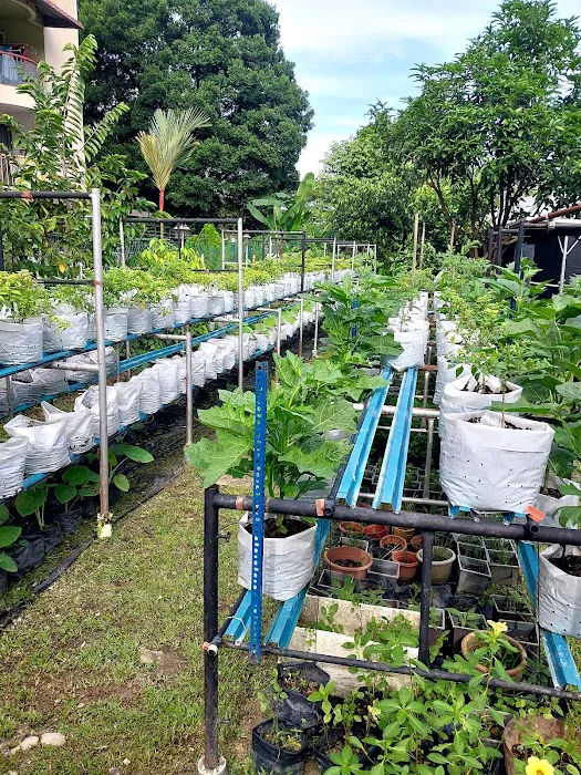 KEBUN KOMUNITI PEGAGA Picture 6