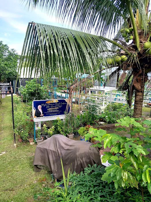 KEBUN KOMUNITI PEGAGA Picture 2