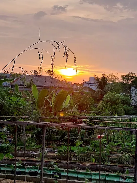 Kebun Komuniti Taman Bukit Indah Fasa 2 Picture 7