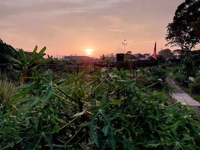 Kebun Komuniti Taman Bukit Indah Fasa 2 Picture 6
