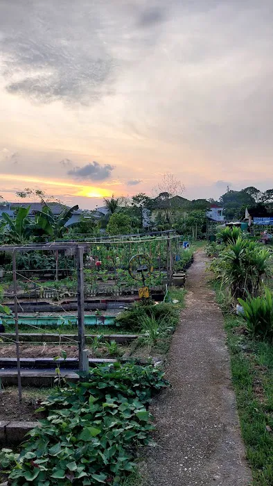 Kebun Komuniti Taman Bukit Indah Fasa 2 Picture 2