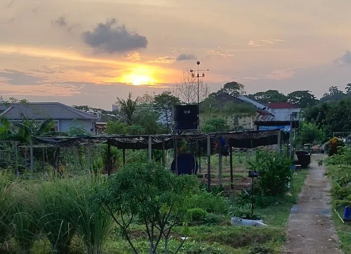 Kebun Komuniti Taman Bukit Indah Fasa 2 Picture 3