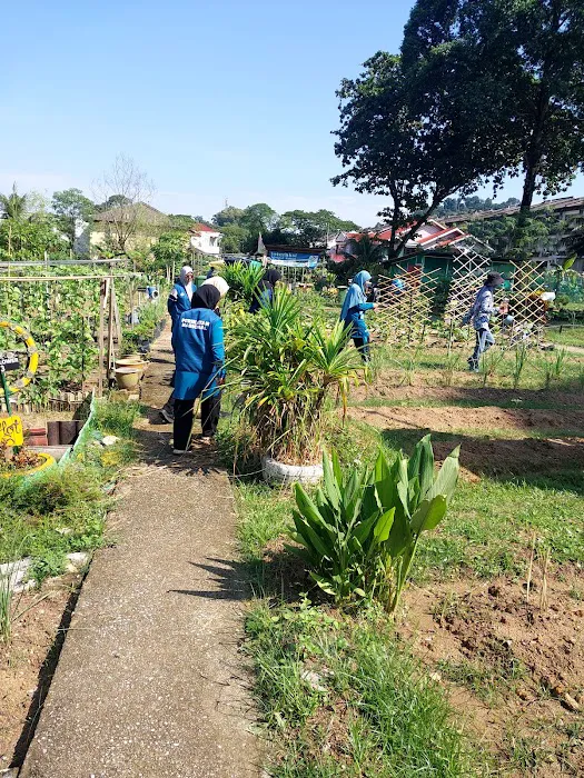 Kebun Komuniti Taman Bukit Indah Fasa 2 Picture 4