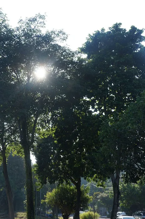 Bukit Indah Park Picture 2