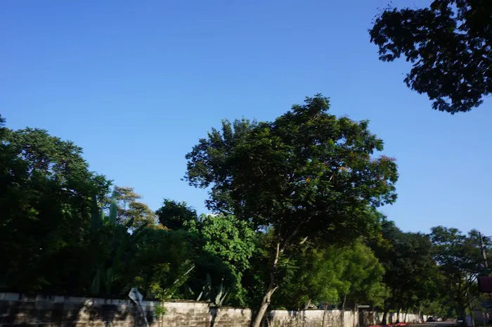 Bukit Indah Park Picture 3