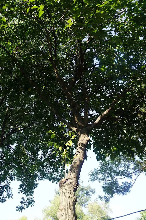 Bukit Indah Park Picture 8