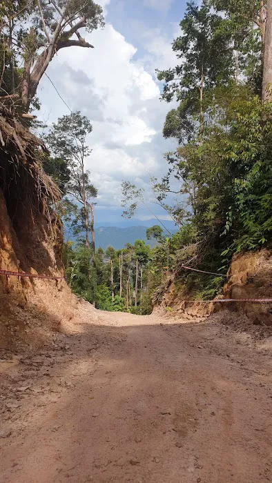 Bukit Dulang Rimba Raid Picture 2