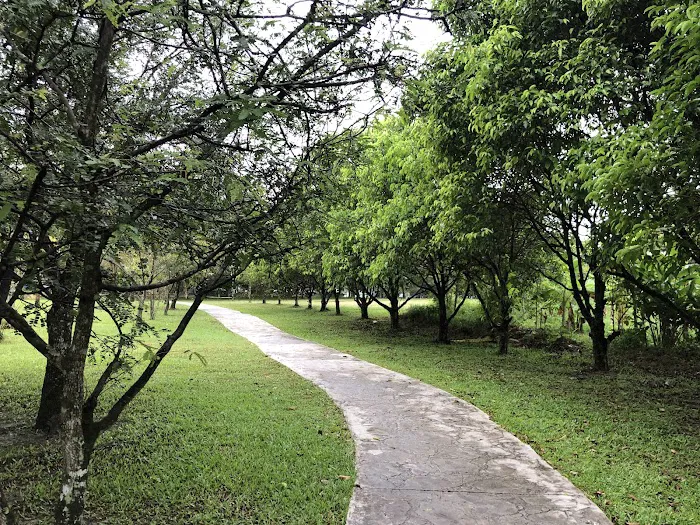 Taman Rekreasi Bukit Indah Ampang Picture 3