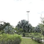Taman Bukit Indah Mini Botanical
