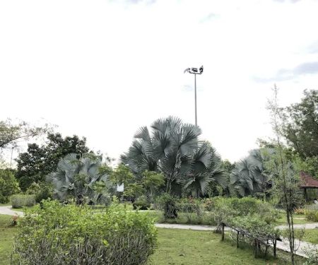Taman Bukit Indah Mini Botanical
